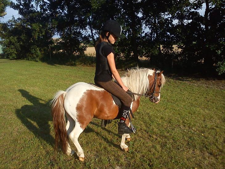 {{currentPhoto.altText}} billede {{currentPhoto.number}}