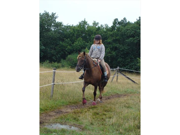 {{currentPhoto.altText}} billede {{currentPhoto.number}}