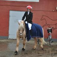 Anden særlig race Timon [Tld.redet]