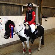 Anden særlig race Buller<3 SOLGT! og savnet!<3:* :')