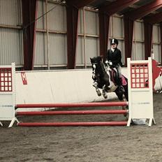 Anden særlig race Mille/ Jeg er desværre stoppet på mijn pige!!:(