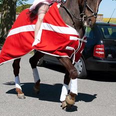 Traver Rabiega Rouge *Savnet*