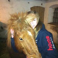 Anden særlig race Laban