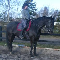 Oldenborg Corporal Alstrup