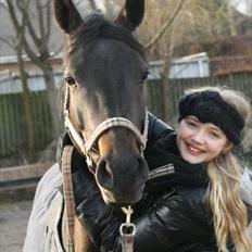 DSP Røgild's Dominique