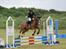 Tysk Sportspony Melonia N<3