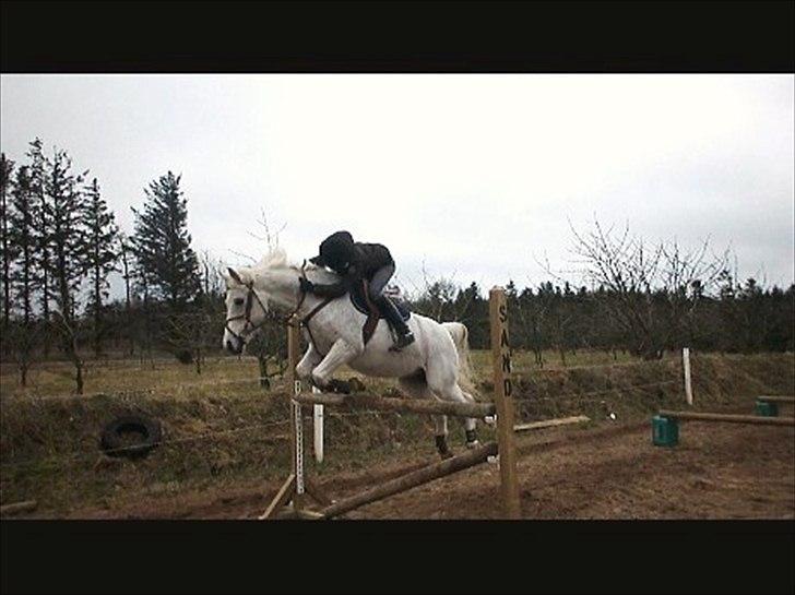 Anden særlig race | Silas <3. - Før du kan score, må du have et mål. 125 på Silas ♥. Rekord! | Foto: Stine Møller. billede 13