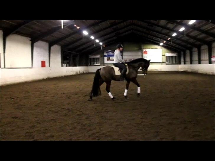 Anden særlig race Nadir <3  billede 15