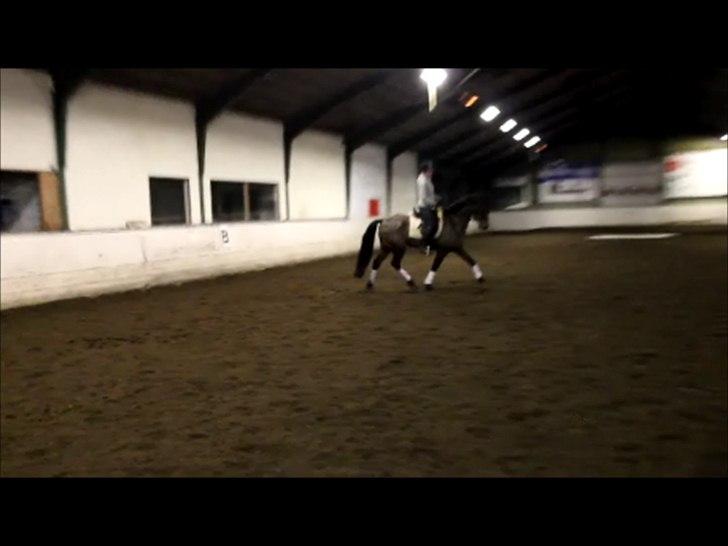 Anden særlig race Nadir <3  billede 17