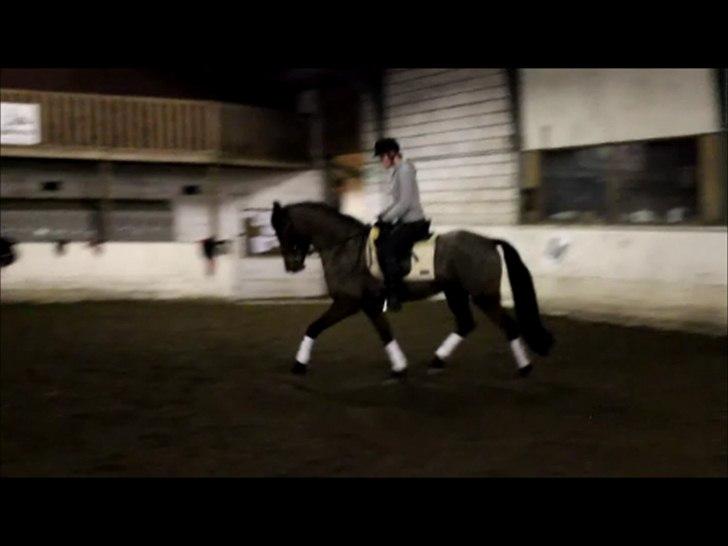 Anden særlig race Nadir <3  billede 18