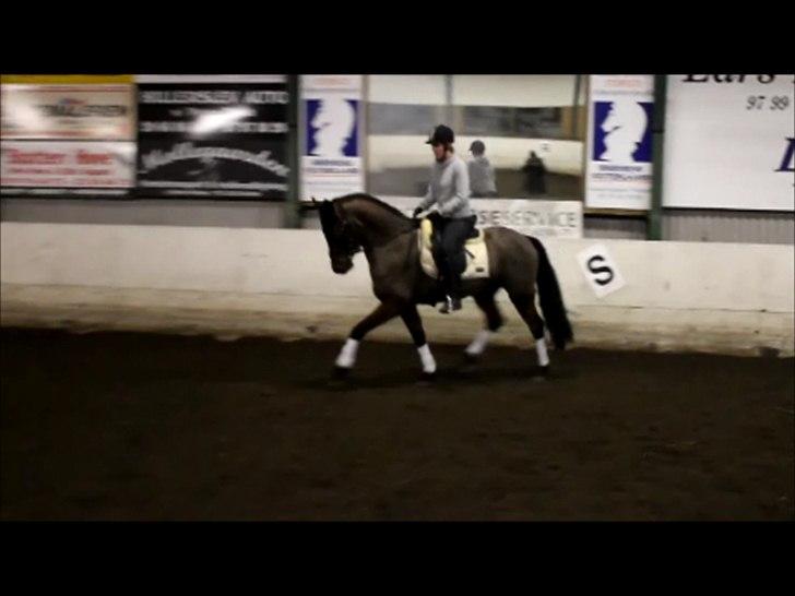 Anden særlig race Nadir <3  billede 19