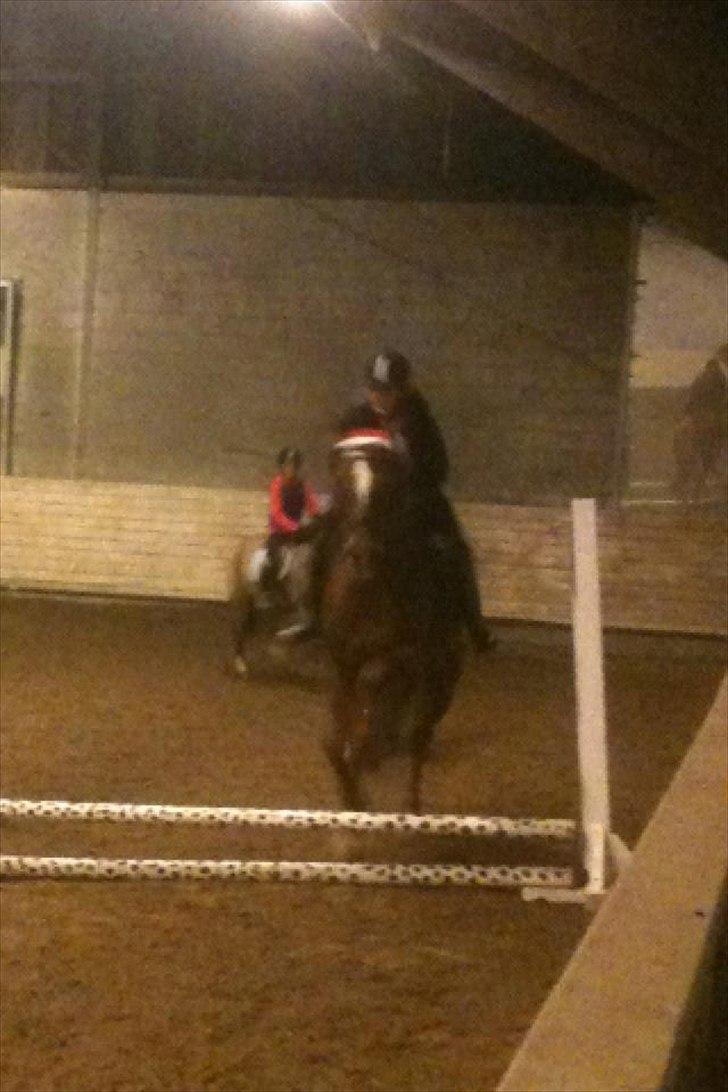 Oldenborg Tamino (Part)  - elsker at springe på dig <3

Foto: Mor  billede 6