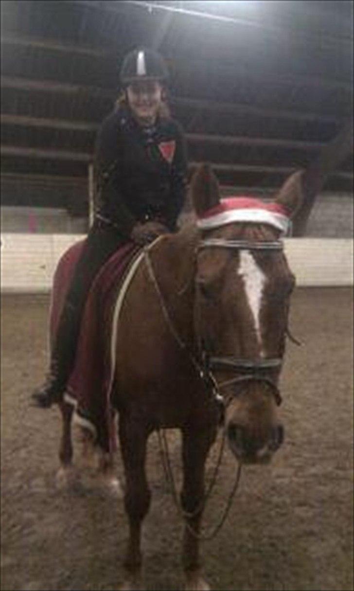 Oldenborg Tamino (Part)  - Du er verdens bedste hest<3

Foto: Far billede 2