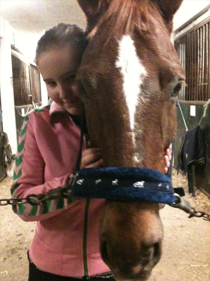 Oldenborg Tamino (Part)  - <3<3

Foto: Maj Alstrup <3 billede 8