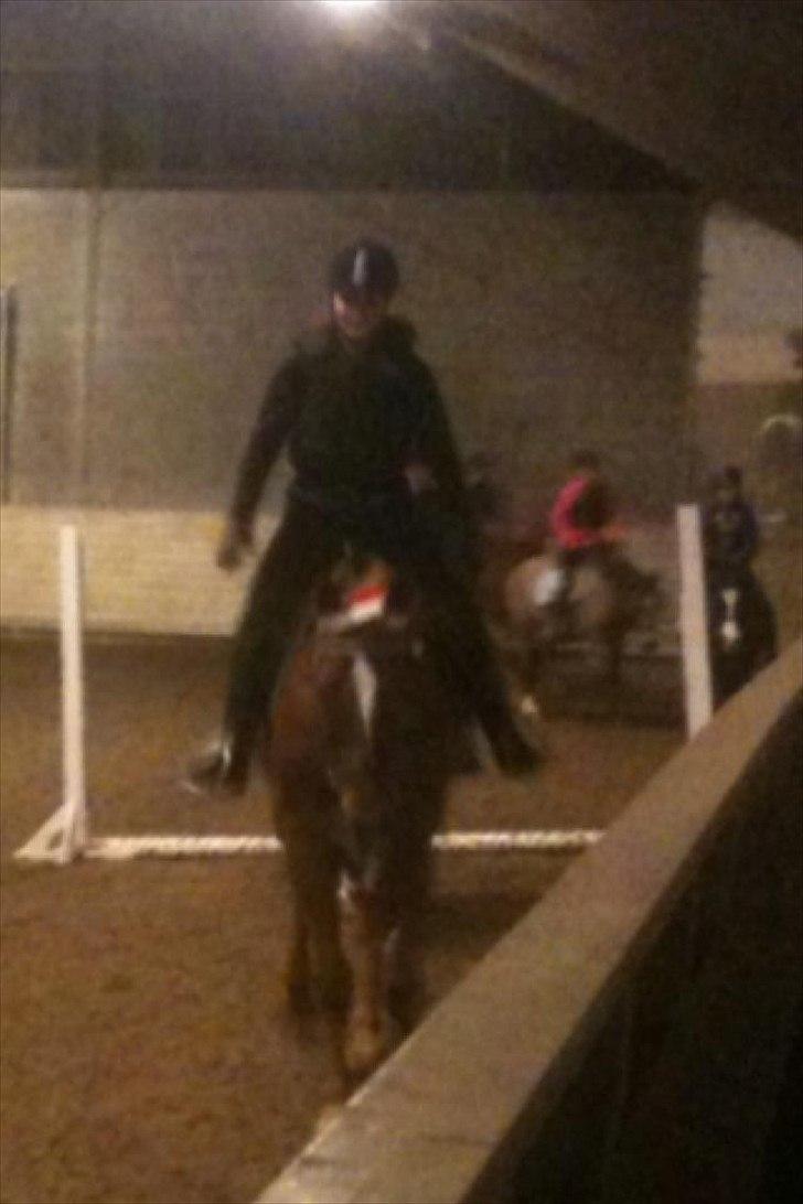 Oldenborg Tamino (Part)  billede 13