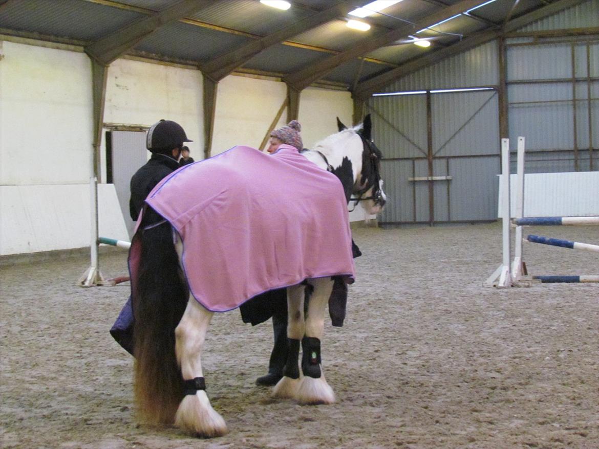 Tinker LL. Mølgårds Mc Phee/ Fie - spring stævne billede 12