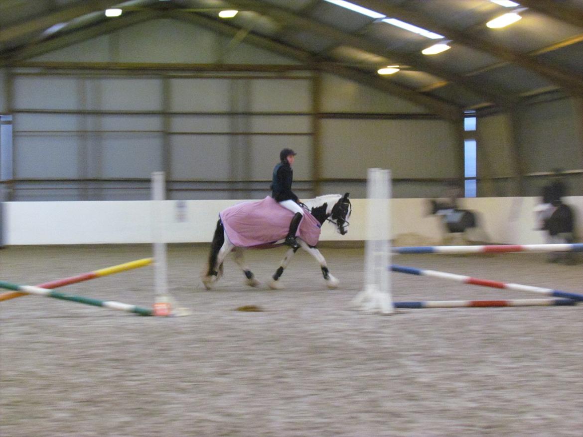 Tinker LL. Mølgårds Mc Phee/ Fie - Spring stævne
 billede 14