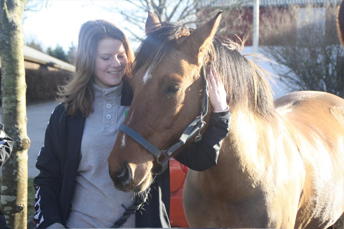 Anden særlig race Prinz - Rebecca H og Prinz billede 4