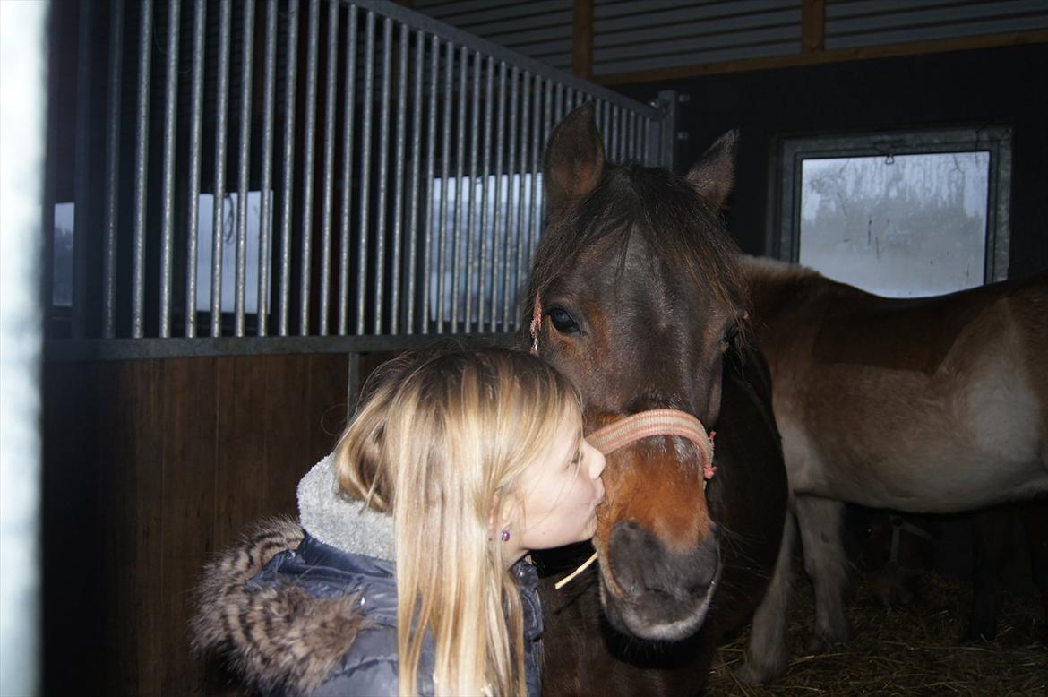 Anden særlig race Robin <3 * - Du er det bedste, jeg elsker dig & vil altid gøre det!<3<3

Foto : Benedikte Thoustrup.
KOPIRING AF BILLEDET ER FORBUDT! billede 10
