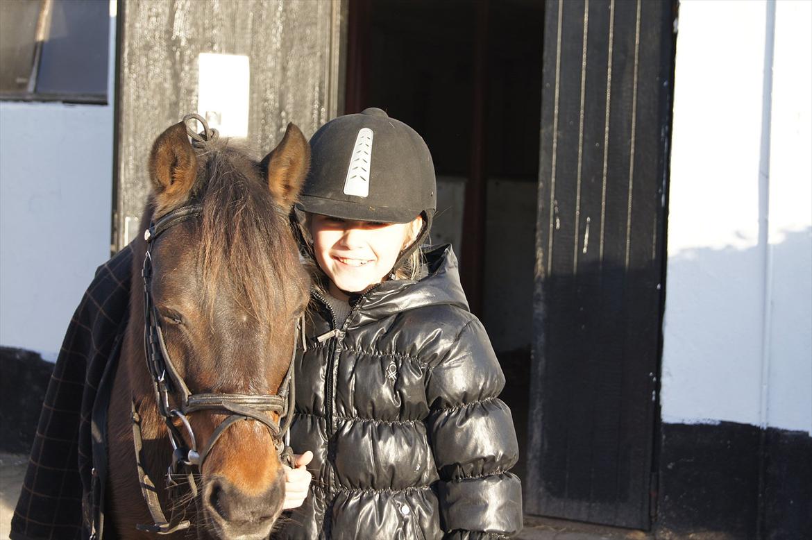 Anden særlig race Robin <3 * - Klar til en ridetur!:-)

Foto : Benedikte Thoustrup.
KOPIRING AF BILLEDET ER FORBUDT! billede 4