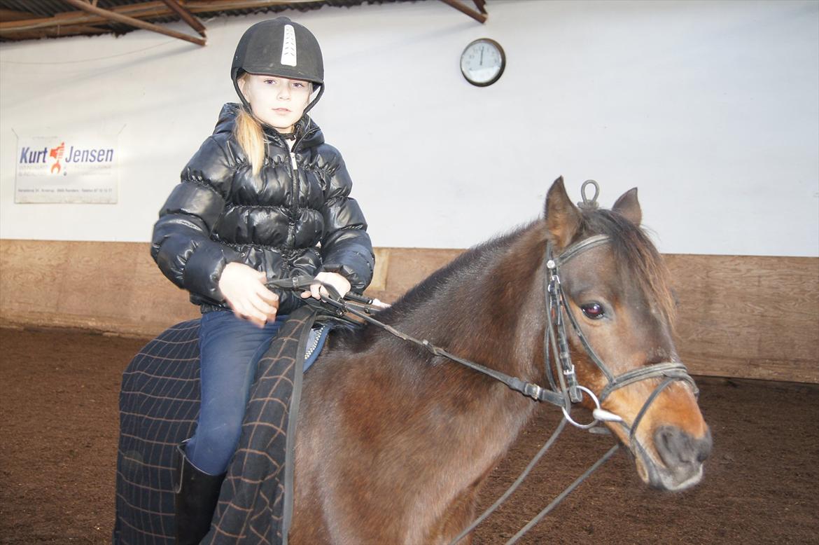 Anden særlig race Robin <3 * - Her er vi ude & ride!:-)<3
-undskyld jeg sidder lidt sjovt!xD

Foto : Benedikte Thoustrup.
KOPIRING AF BILLEDET ER FORBUDT! billede 13