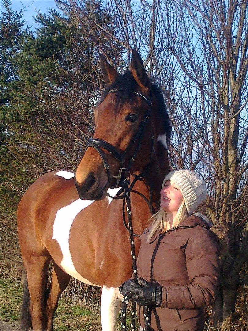 Pinto Bagergårdens Zindy billede 2