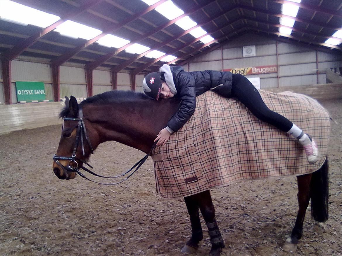 Connemara Fedtmule - 1 dejlig pige, og 1 dejlig dreng = 2 dejlige personer/heste billede 15