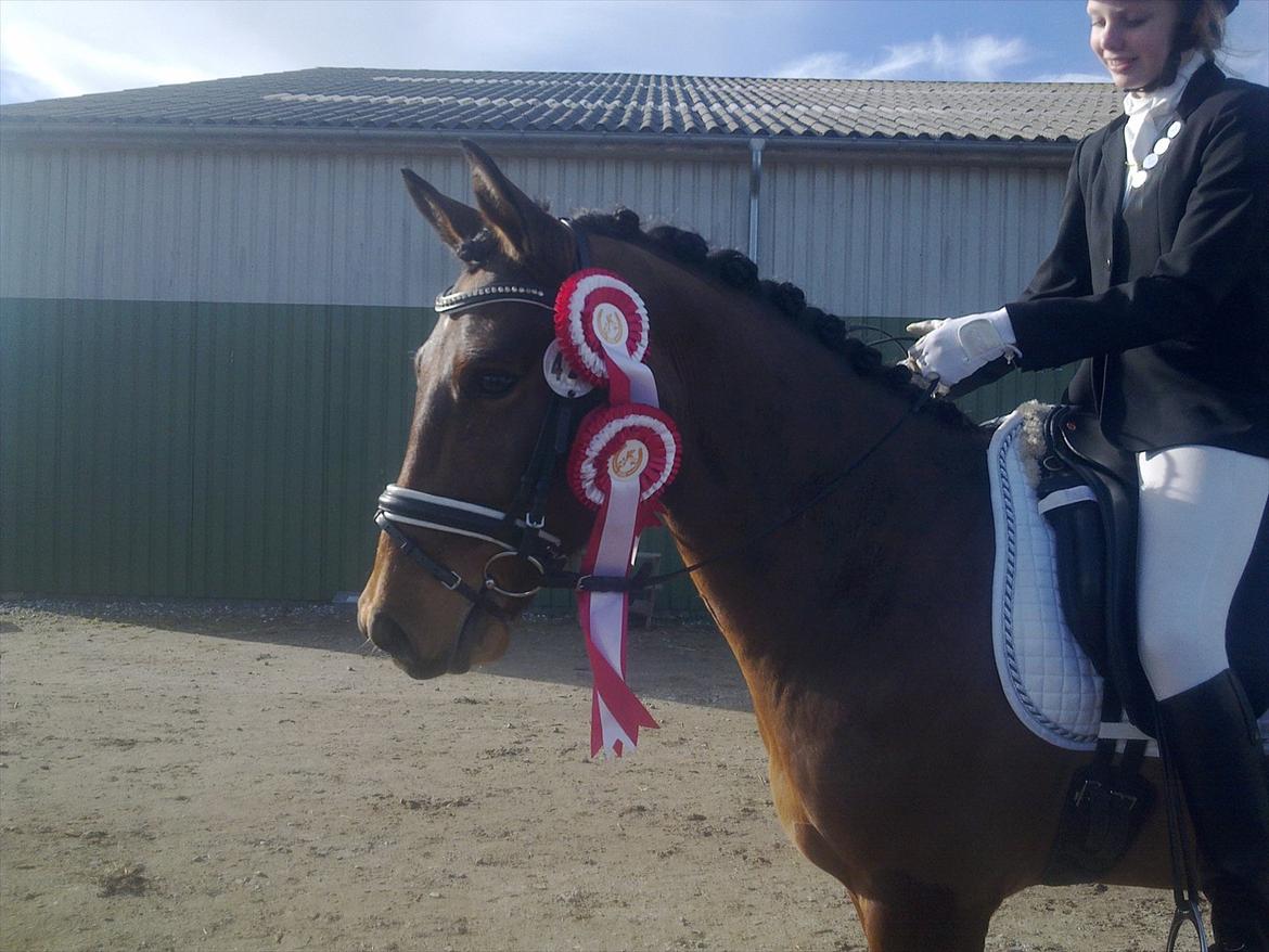 Anden særlig race Alonso - To første pladser en i Lb 1 og en i La 1 billede 11