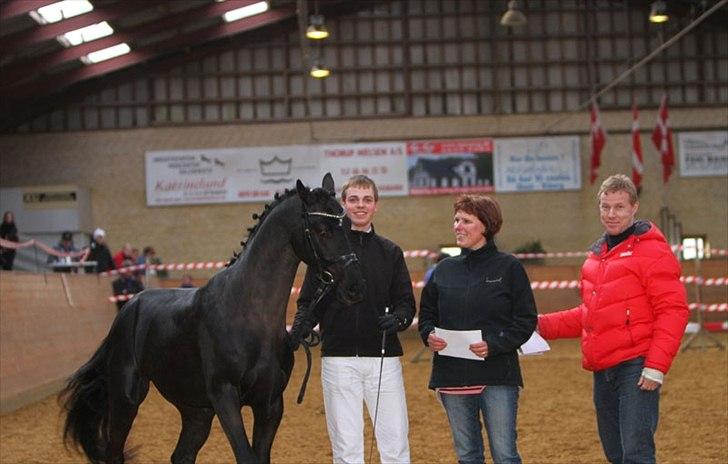 DSP Fredbo's Garmin KÅRET HINGST - Hingstekåring 2012
Stolt ejer Ib Kirk & avler Anne Louise Fredbo. billede 12