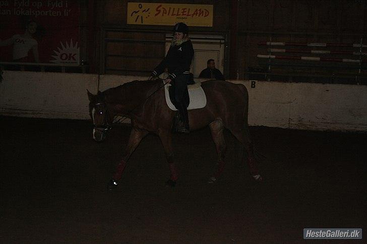 Dansk Varmblod Lindehøjgårds Celine - første gang jeg sad på hende :) billede 6