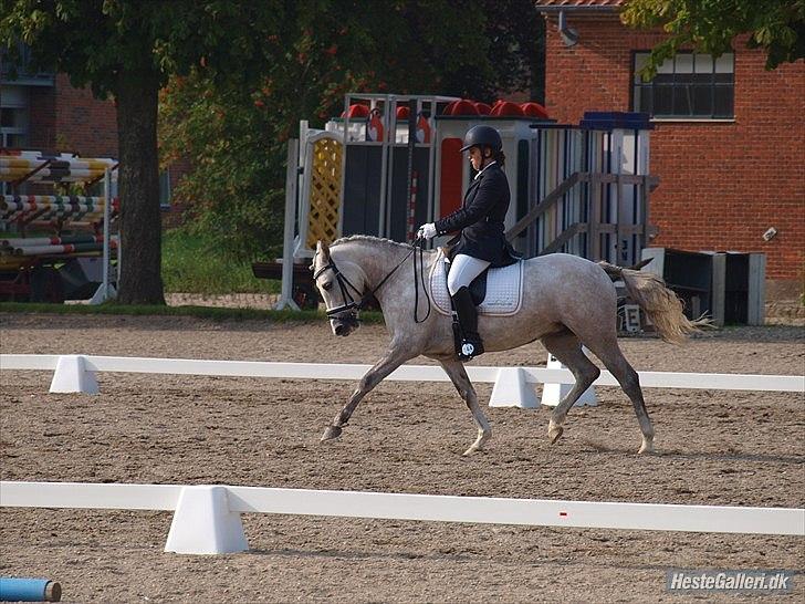 Welsh Pony (sec B) Fjordvangens Evian - La4 vi fik en anden plads :-) <3 billede 17