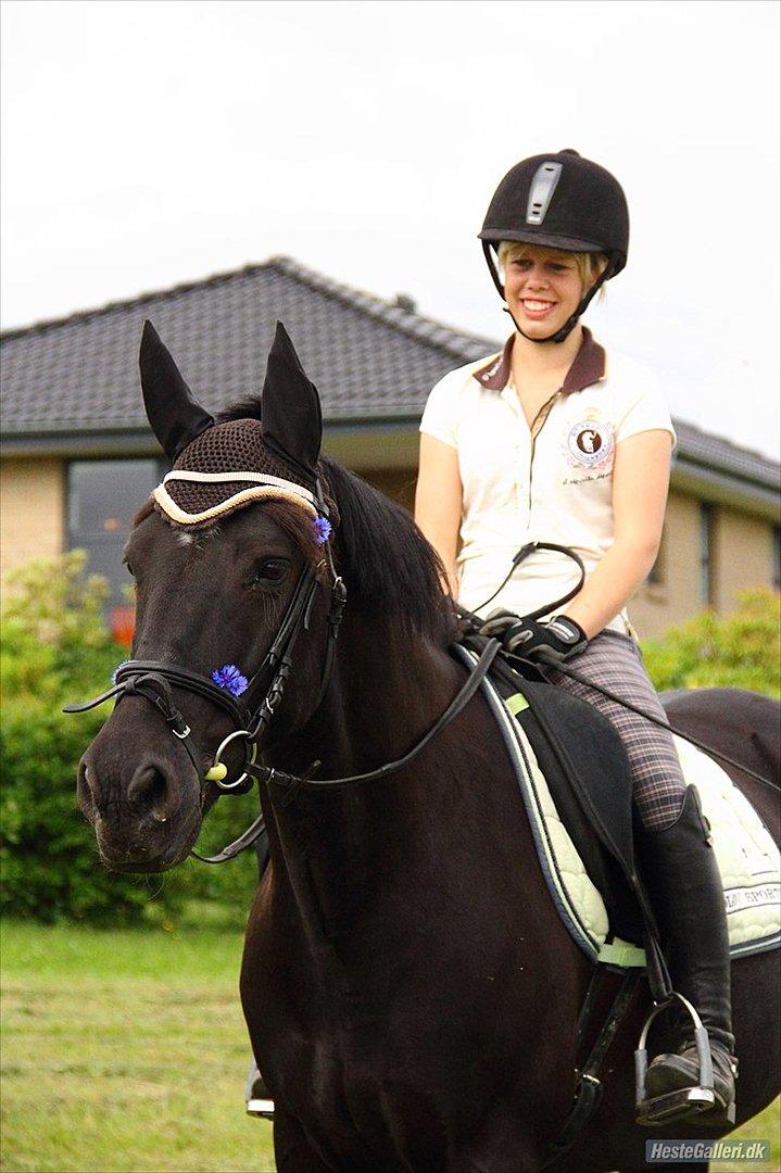 Anden særlig race Diablo - Skønne skønne Diablo <3 Gud, hvor kommer jeg dog til at savne ham! :-( [Foto: Anna] billede 17