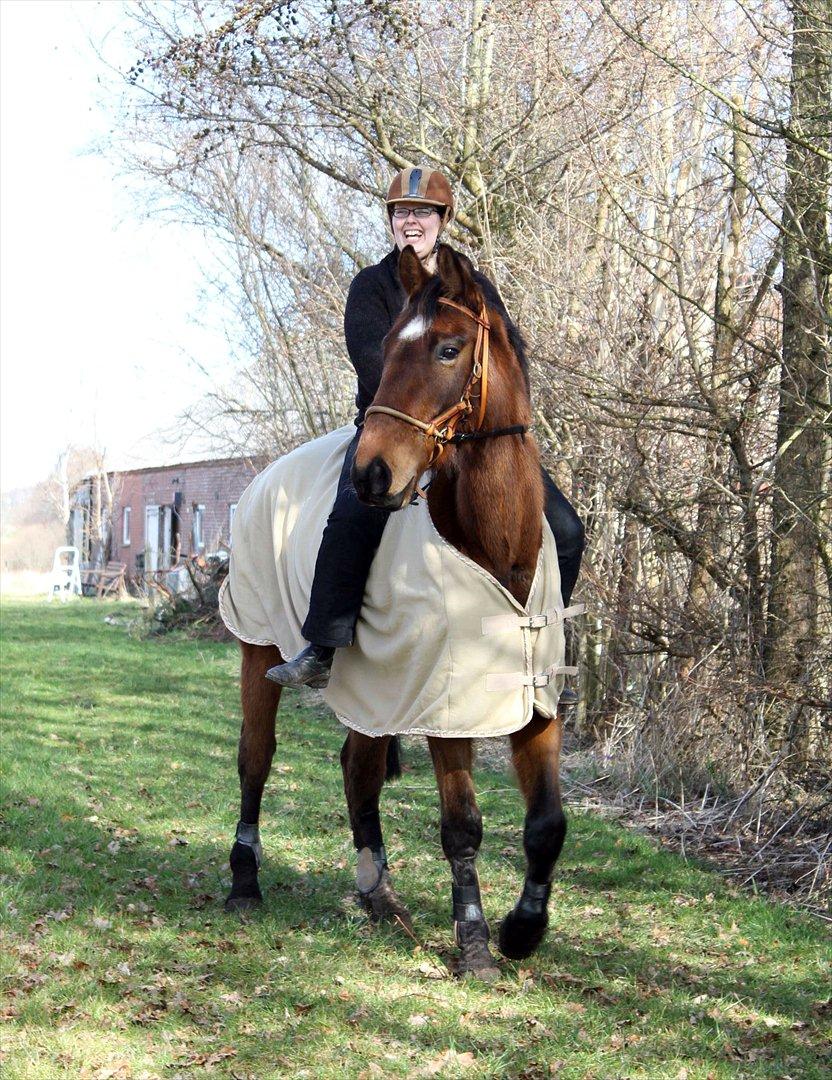 Anden særlig race Kaliffen (Givet Væk) *For Evigt Elsket <3* - Ridetur på Liffen, elsker det billede :D Se mit ansigt :D (Marts 2012) billede 23