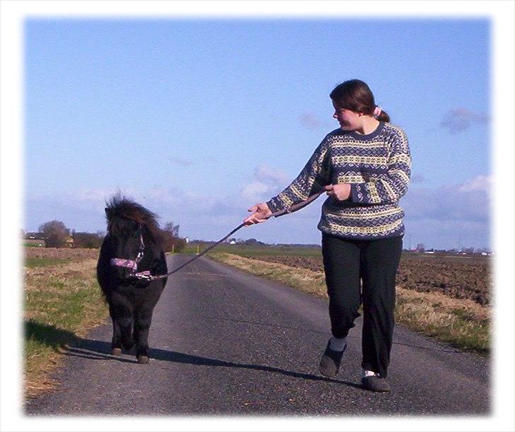 Shetlænder Kisser - Min datter og Kisser billede 13