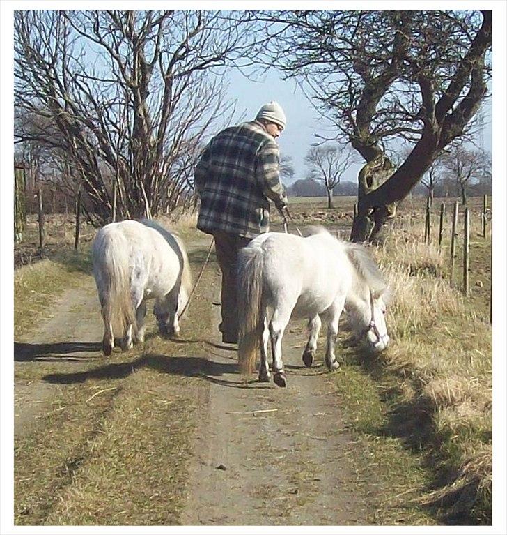 Anden særlig race Rosanne - Gåtur med mor og datter. billede 13
