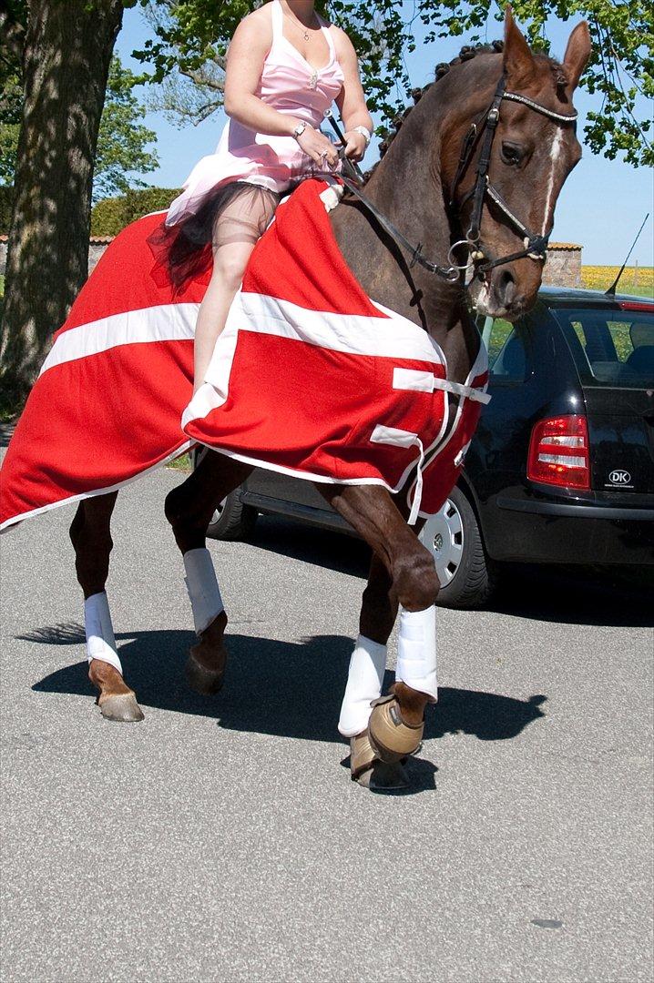 Traver Rabiega Rouge *Savnet* billede 1