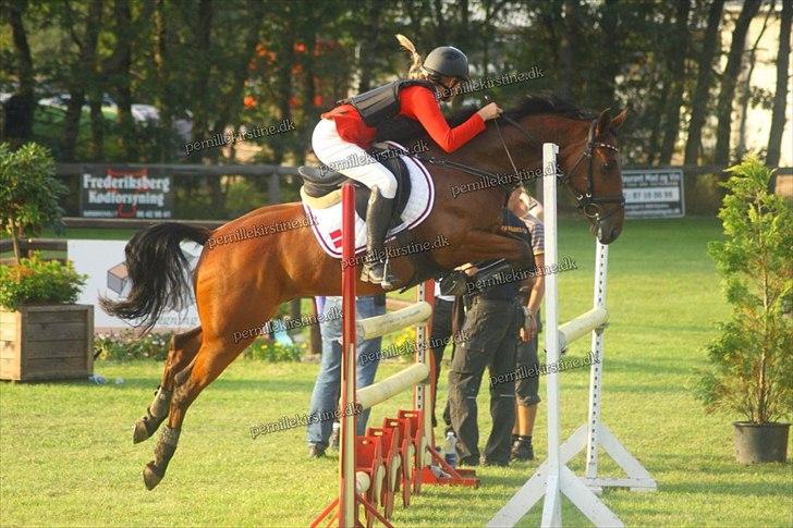 Anden særlig race Løgskov´s Palle. billede 17