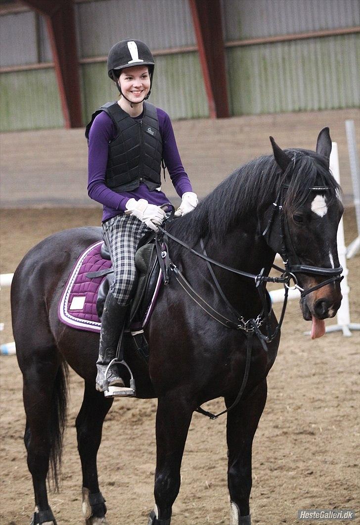 Dansk Varmblod Sazkibard S *My Soulmate* - Du den bedste <3 
Springtræning d. 11/3-2012
Foto: Amalie Reffelt  billede 12