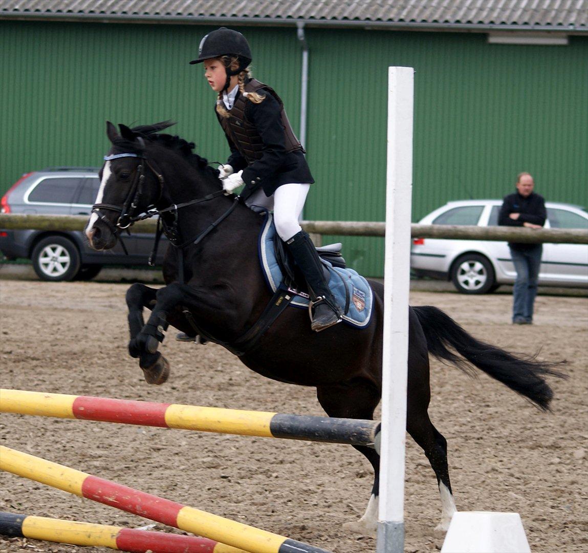 Anden særlig race Sjonnie Skywalker <3! R.I.P Min skat<3! - LB spring:foto:Regize sørnsen. billede 17