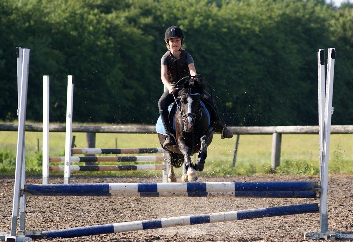 Anden særlig race Sjonnie Skywalker <3! R.I.P Min skat<3! - Træning ved Lars fedder:foto:Regize sørnsen billede 19