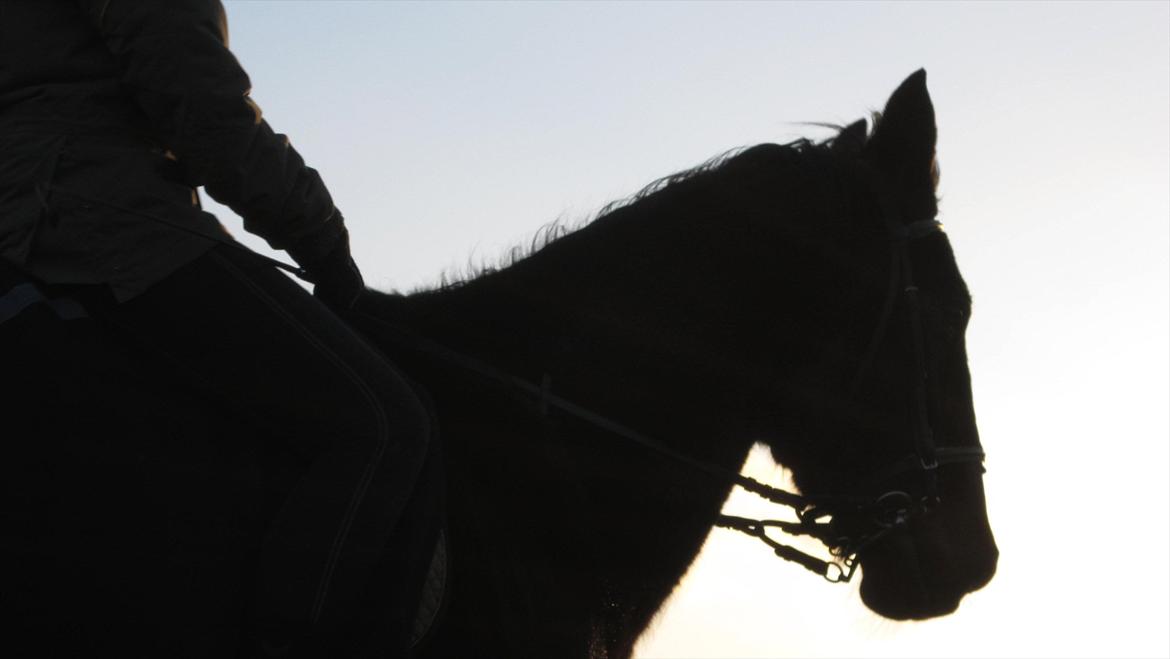 Traver Cerard Top - Velkommen til Klumpens profil :) billede 1