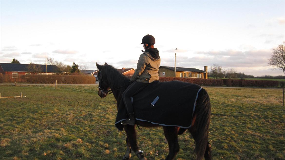 Traver Cerard Top billede 2