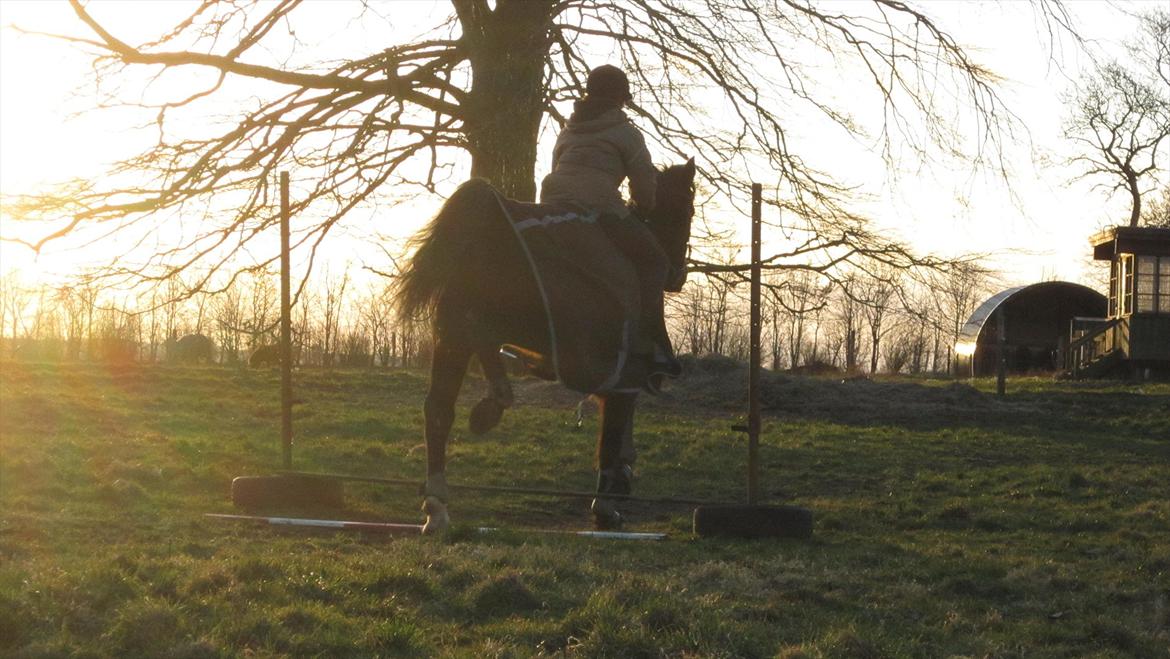 Traver Cerard Top - Yndefuldt... Eller noget? :p
Når Klumpen springer, eller prøver på det ;) billede 3