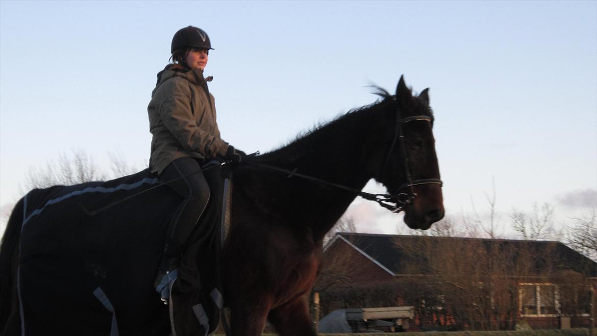 Traver Cerard Top - Lille mig på en kæmpe Klumpehest ;)
Undskylder mit mærkelige ansigt.. xD billede 4