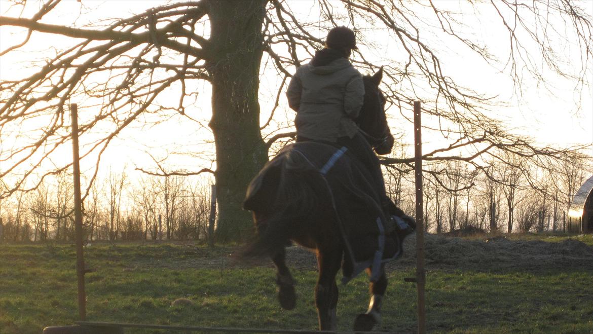 Traver Cerard Top - Vi skal nok komme efter det der springhalløj.. Det er nok sådan noget i den stil han tænker :p billede 5