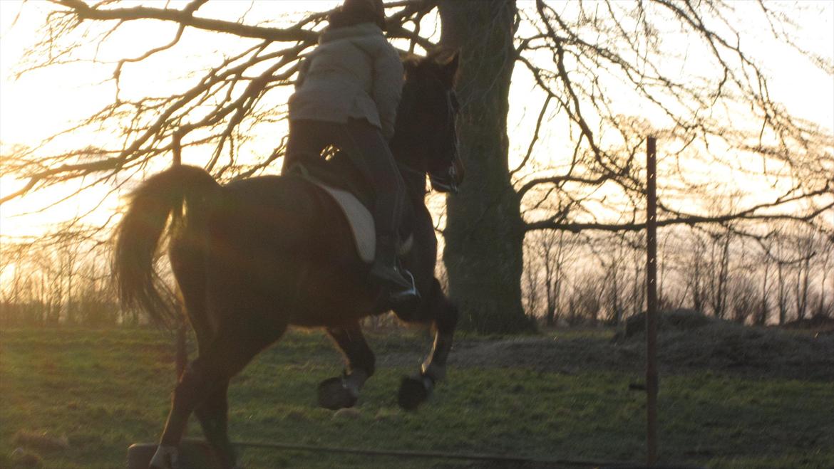 Traver Cerard Top - Nogenlunde godt billed af Klumperne ;) billede 6