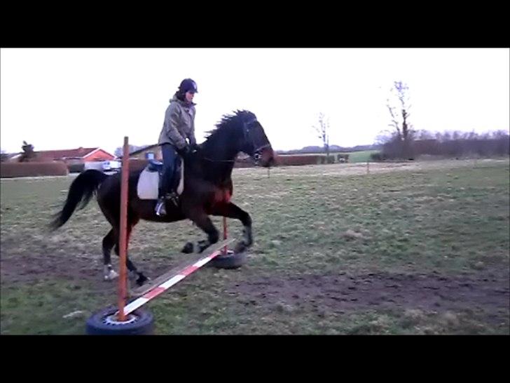 Traver Cerard Top - Taget fra video, så undskylder kvaliteten billede 7