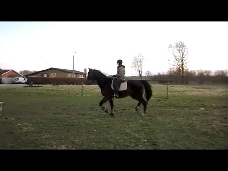 Traver Cerard Top - Når Klumpebassen ser et spring han gerne vil over :p
Taget fra video billede 8