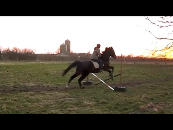 Traver Cerard Top - Mega fedt billed hvis kvaliteten var ordenlig.. -.- billede 10