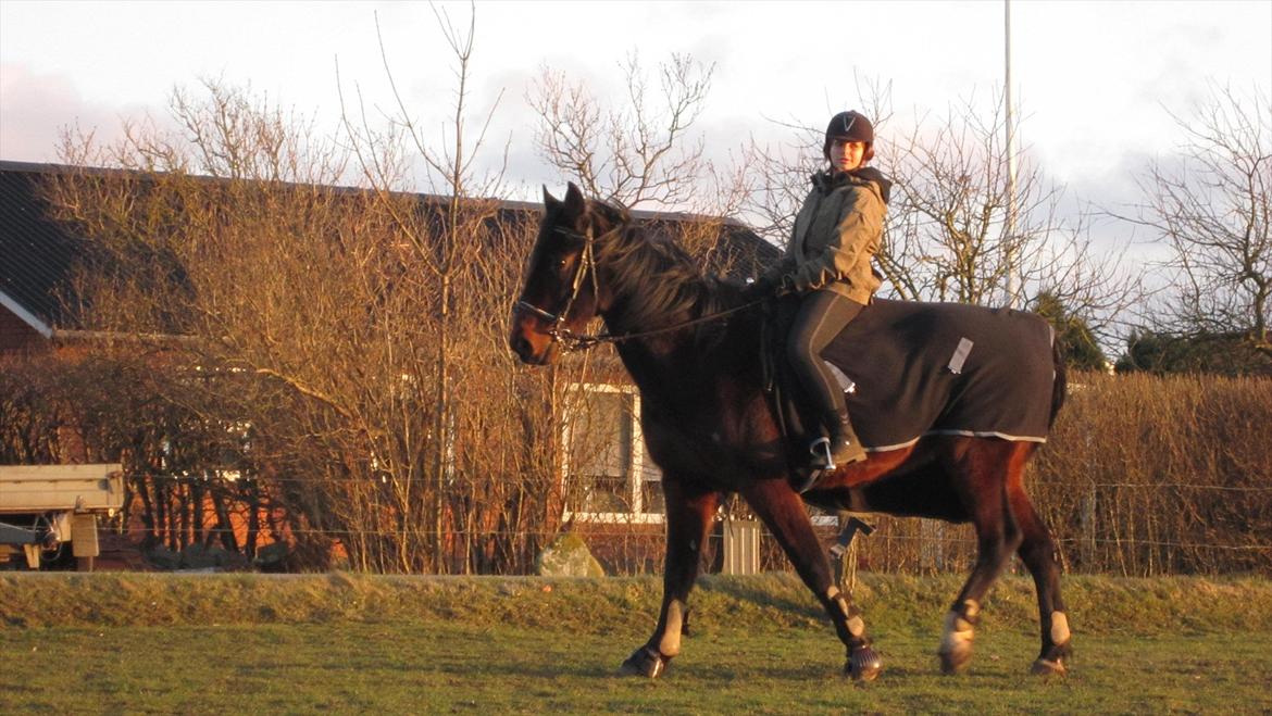 Traver Cerard Top billede 15